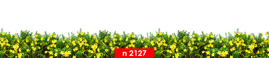 n 2127